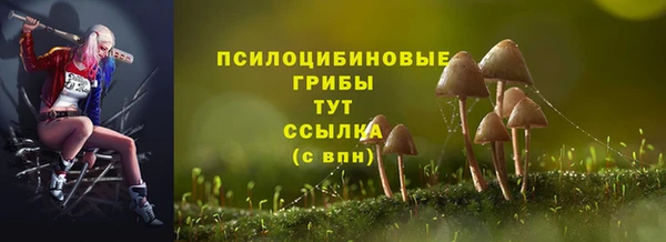 индика Осташков