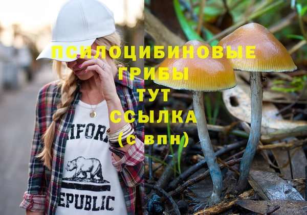 амфетамин Осинники