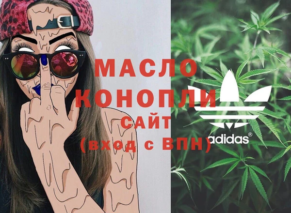 индика Осташков