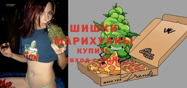 индика Осташков