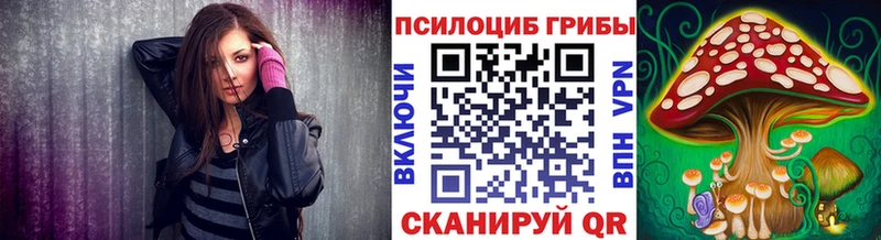 цена наркотик  Ефремов  Псилоцибиновые грибы Magic Shrooms 